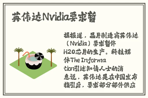 腿再张大点就可以吃到扇贝了视频